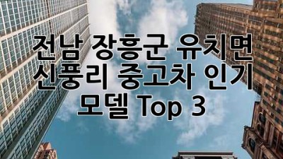 전남 장흥군 유치면 신풍리 중고차 인기 모델 Top 3! 🚗✨