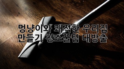 🐾 멍냥이와 쾌적한 우리집 만들기✨ 청소꿀팁 대방출!