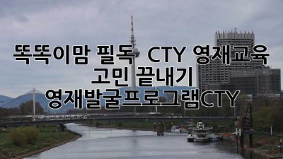 똑똑이맘 필독! 🤩 CTY 영재교육 고민 끝내기 #영재발굴프로그램CTY